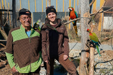 Es bleibt kunterbunt und laut