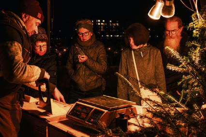 Imrpessionen LAw 2025